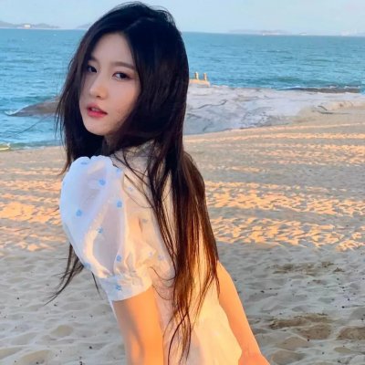 冒牌总统